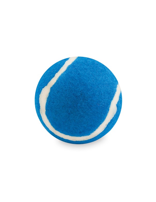 Pelota