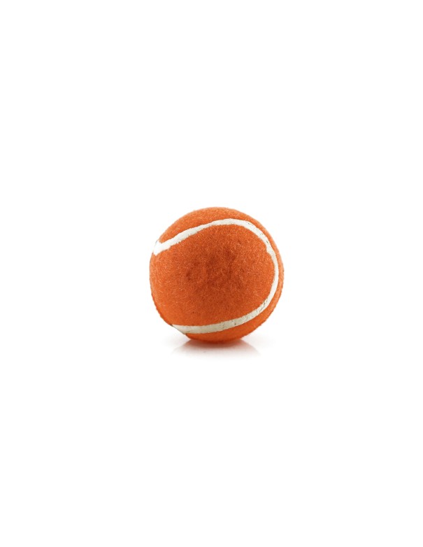 Pelota
