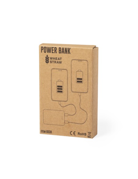 Power Bank