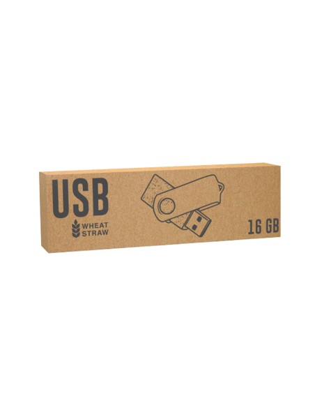 Memoria USB