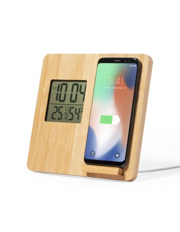 Estacion Meteorologica Cargador 2