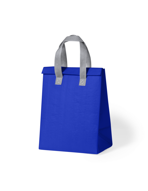 Bolsa Nevera