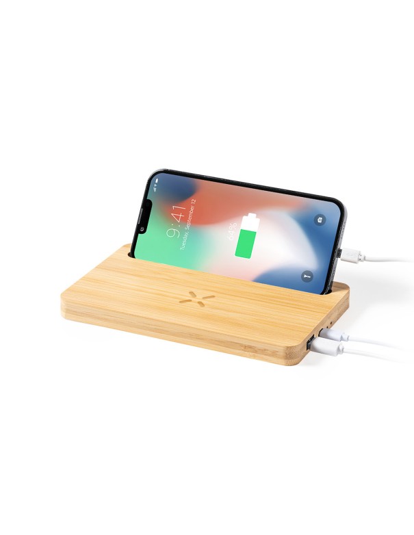 Cargador Organizador