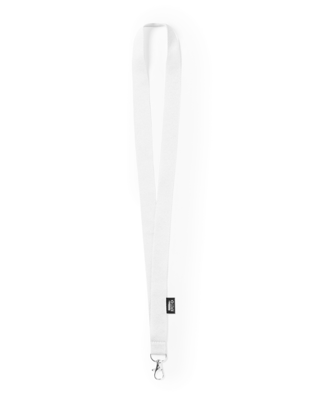 Lanyard