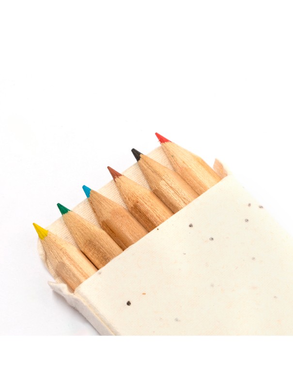 Caja Lapices Semillas