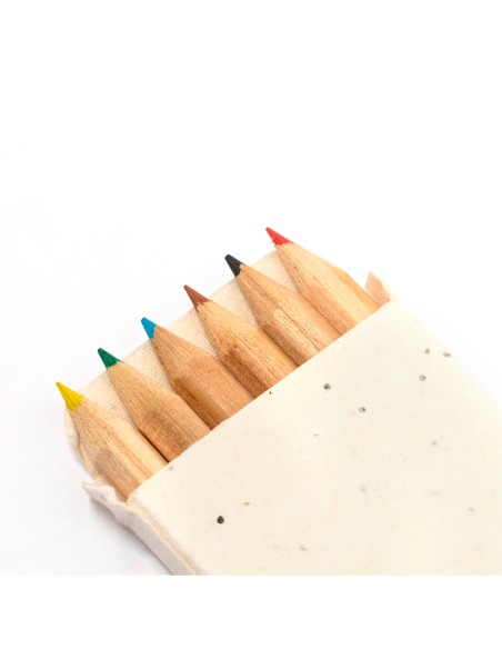 Caja Lapices Semillas