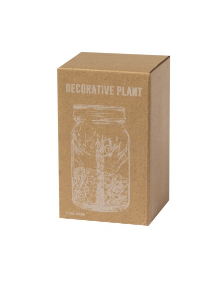 Planta Decorativa
