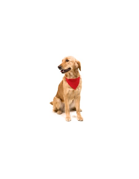 Collar Bandana