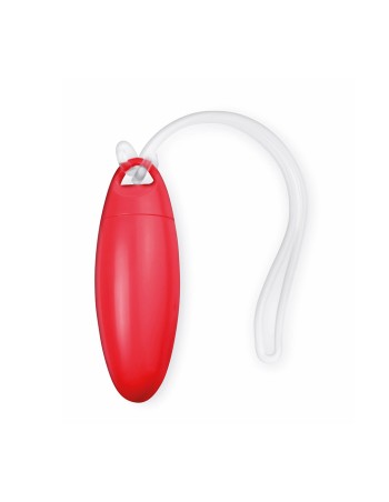 Identificador Maletas