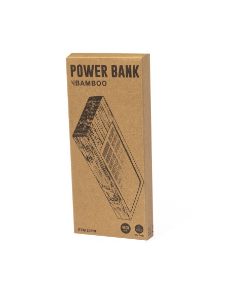 Power Bank