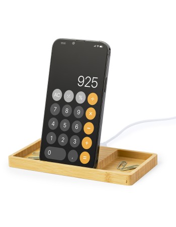 Cargador Organizador 2