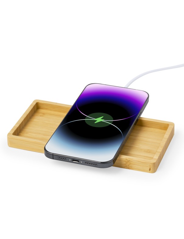 Cargador Organizador