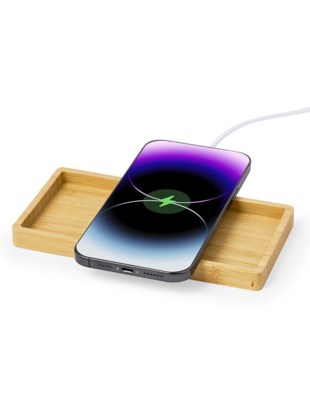 Cargador Organizador