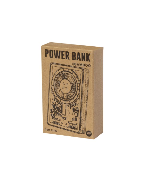 Power Bank