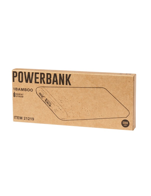 Power Bank