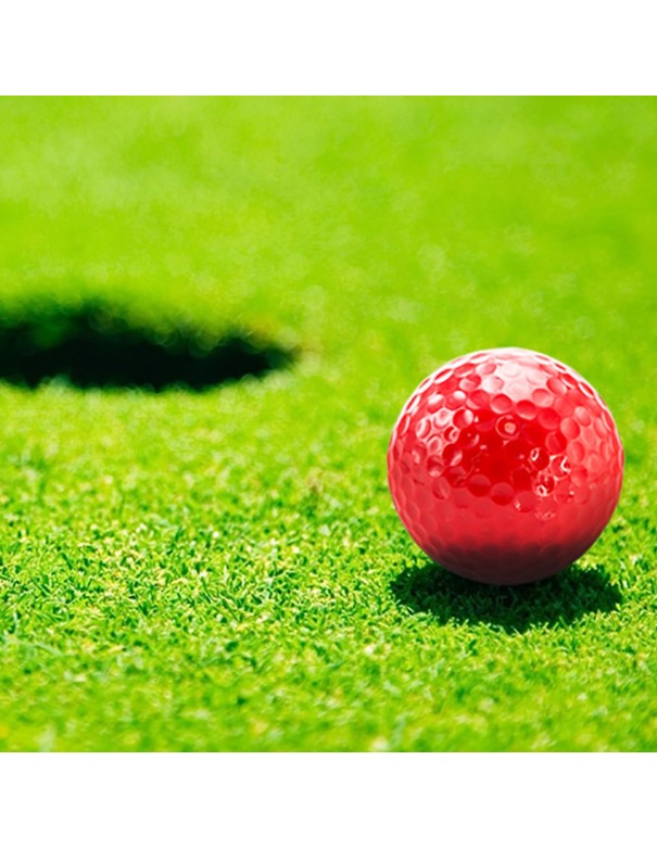 Bola Golf